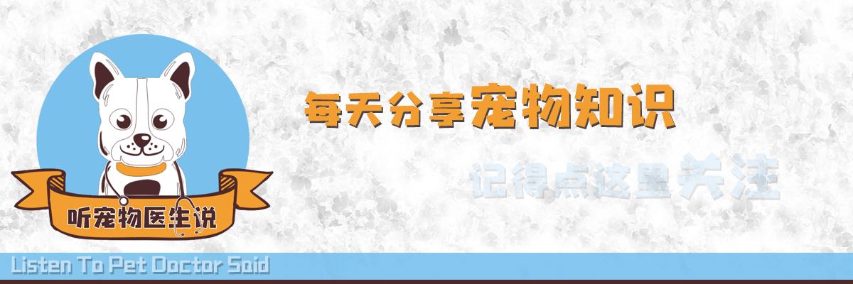 2024年12月30日 第18页